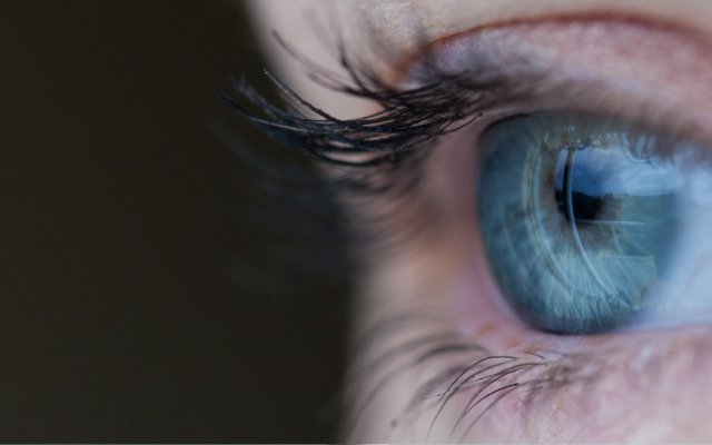 Vision
